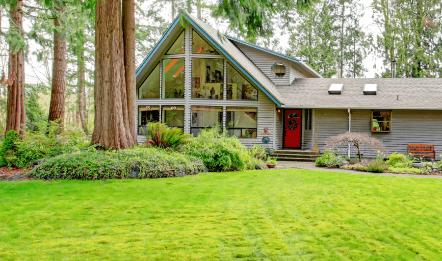 LAWN CARE SERVICES